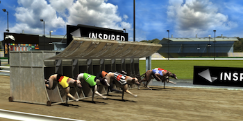 Inspired - dogs